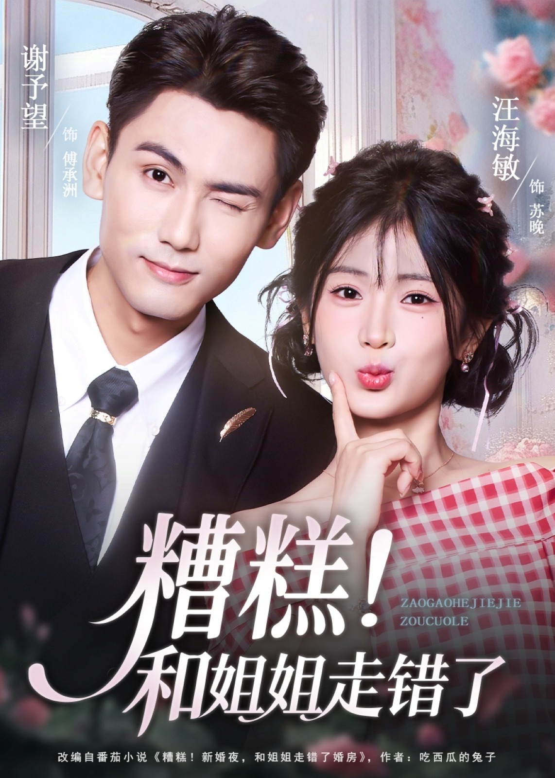 糟糕和姐姐走错了-都市言情